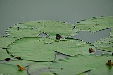 电竞世界杯：CS2、星际争霸2、Apex英雄、街霸6奖金公布